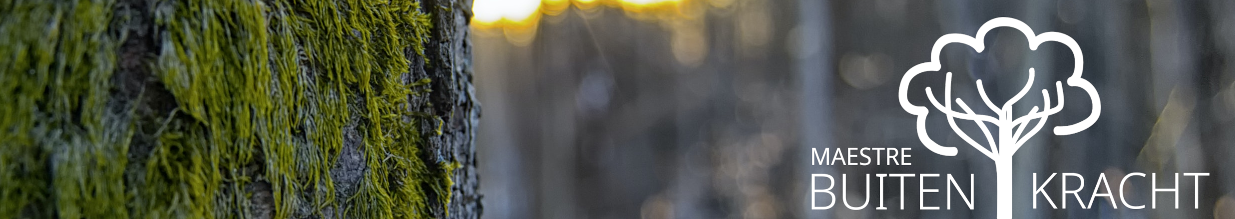 Banner dikker gedrukt